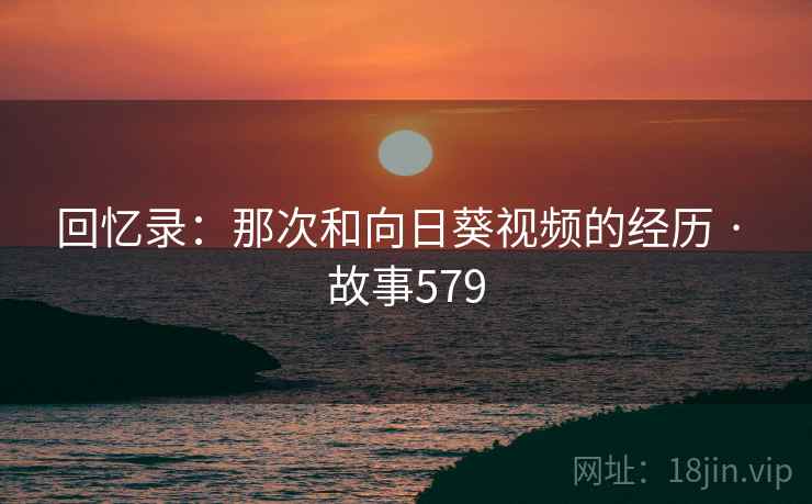 回忆录：那次和向日葵视频的经历 · 故事579