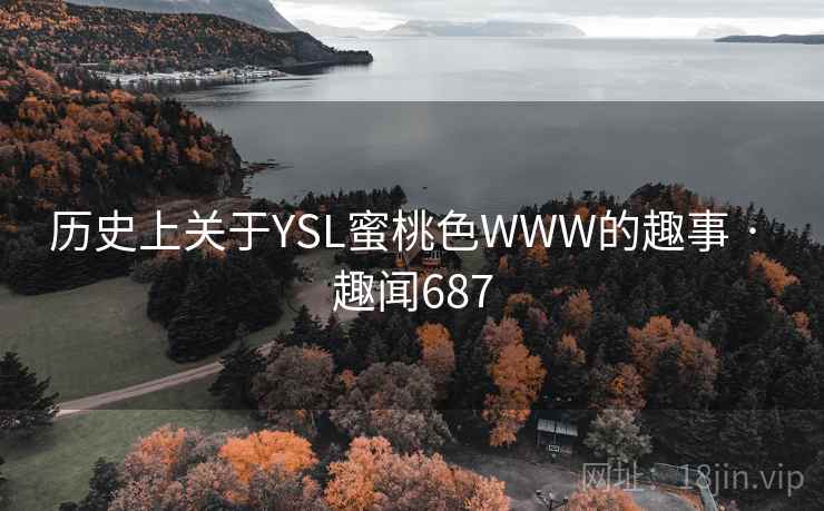历史上关于YSL蜜桃色WWW的趣事 · 趣闻687